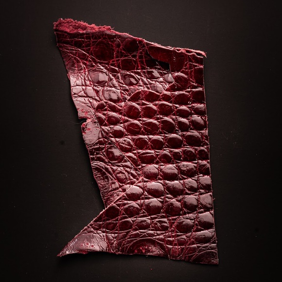 Meet your Posher, Grandad Sam - Picture 11 of 16